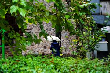 پاییز در دانشگاه علوم بهزیستی و توانبخشی